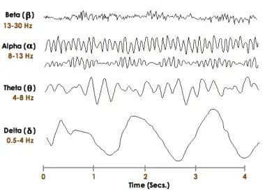 Electroencephalography or EEG | Electricalvoice