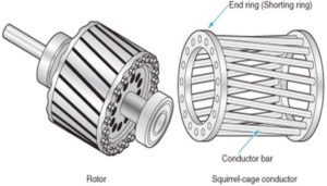 Squirrel Cage & Slip Ring Induction Motor | Advantages | Electricalvoice